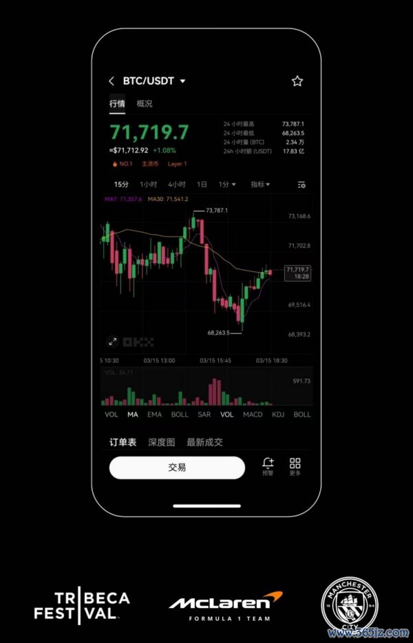 欧意电脑下载(317)